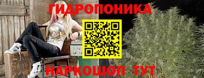 гидра Камышлов