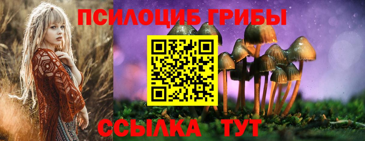 Псилоцибиновые грибы Cubensis  Псилоцибиновые грибы мухоморы  Вход с VPN  Красный Сулин 